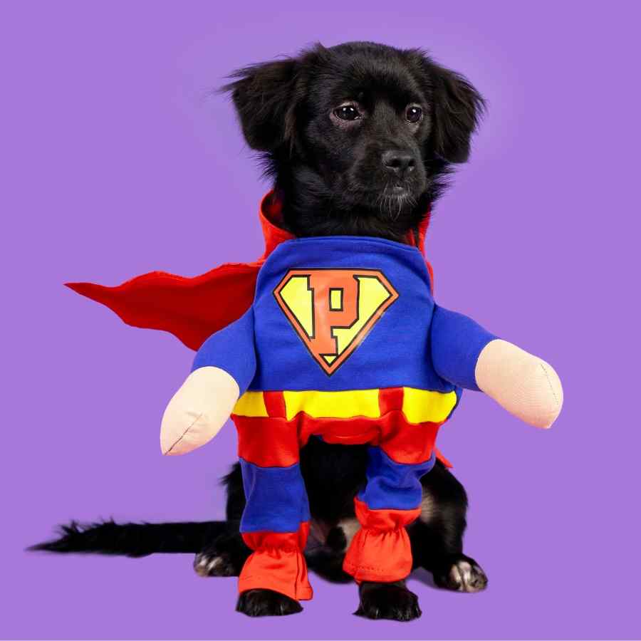 Disfraz Super Dog, , large image number null